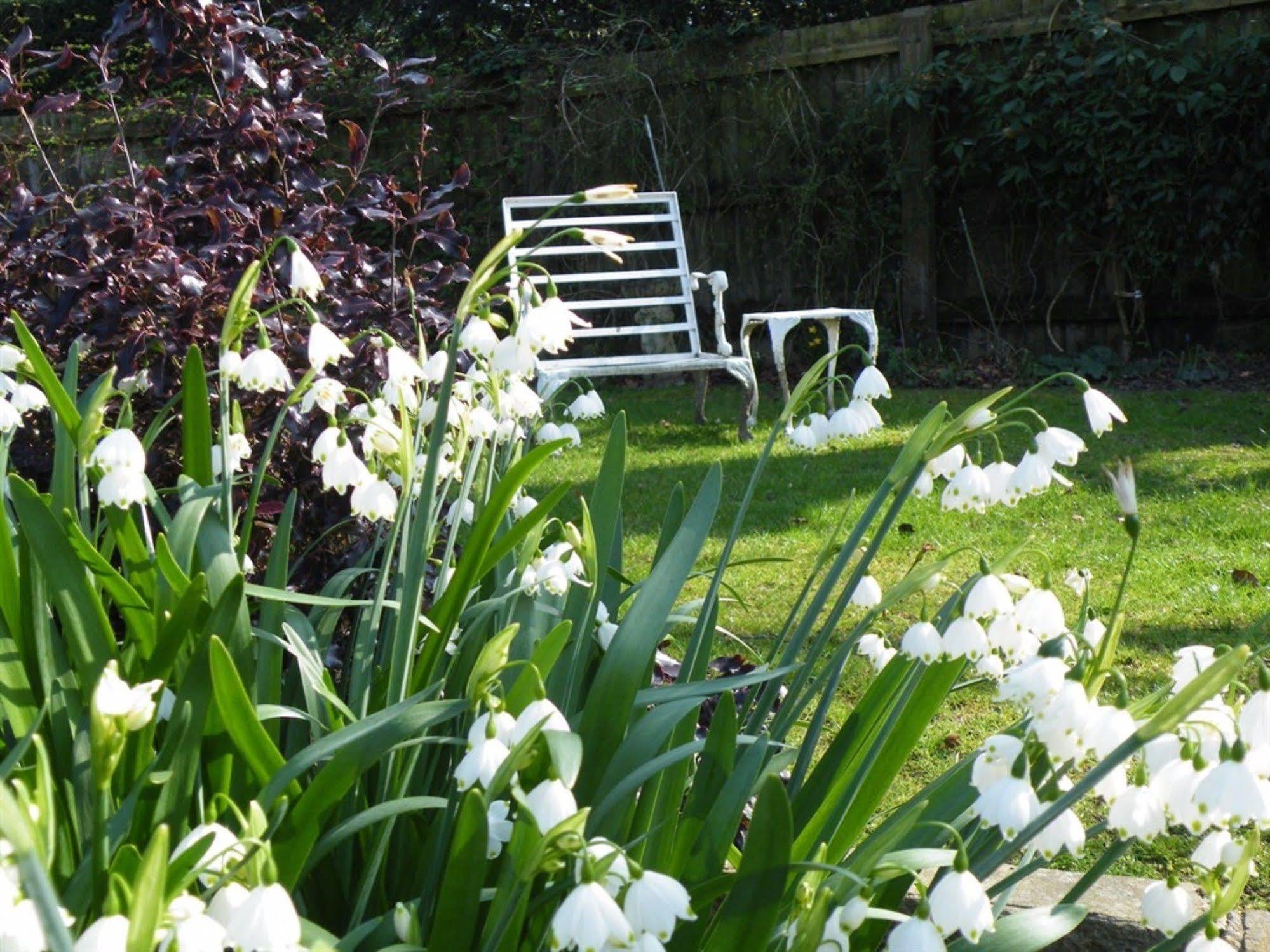 Broadlands Gate Bed and Breakfast Brockenhurst Eksteriør billede